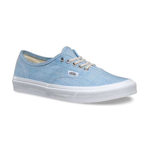 vans authentic chambray dinos skate shoe